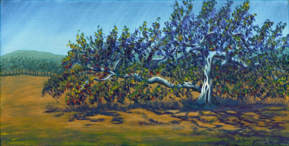 la certitude de cet ancien pommier à l'automne 