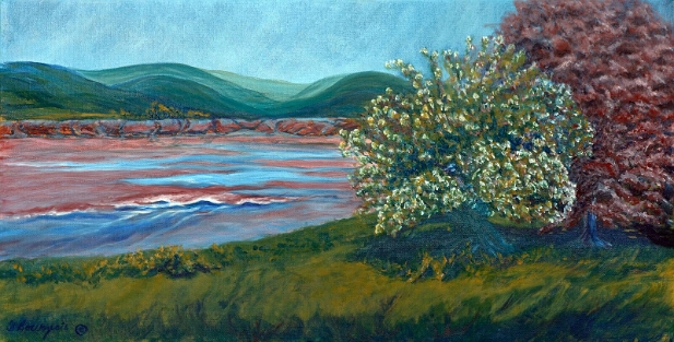 La perce du mascaret