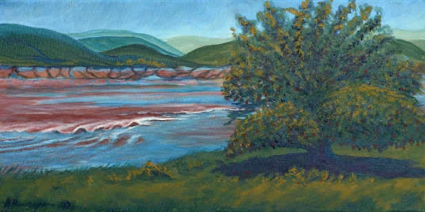 Élan de la vague
