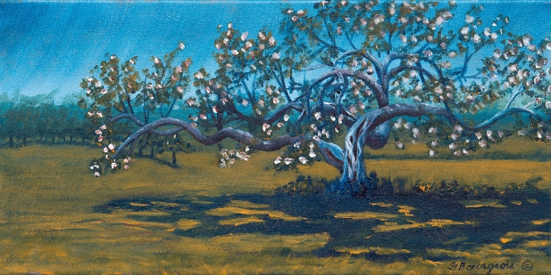 la certitude de cet ancien pommier en fleur