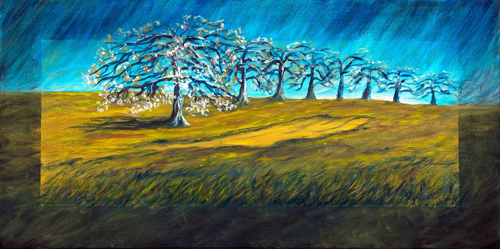 Verger au printemps 2020 « Verger Belliveau au printemps »  huile sur toile 24 pouces x  12