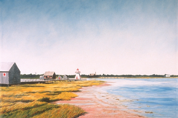 Le berceau de la plage aux coques, 2003