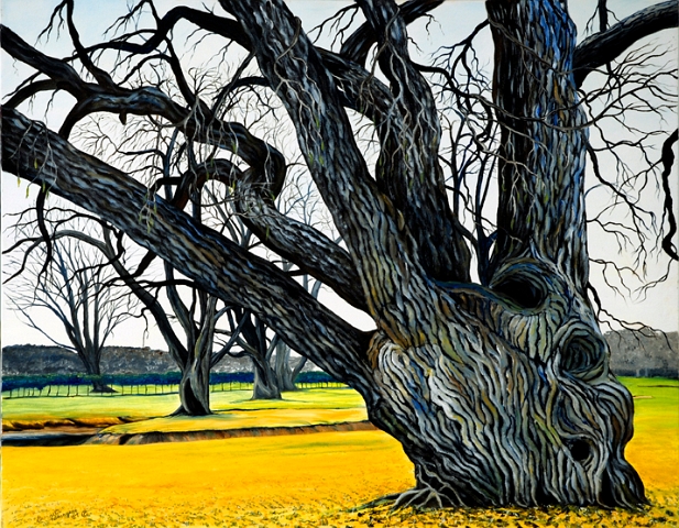 Le saule français nous embrasse 2007 22x28