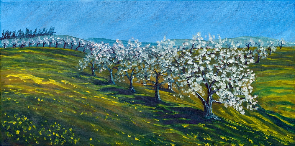 Chemin au printemps au Verger Belliveau 