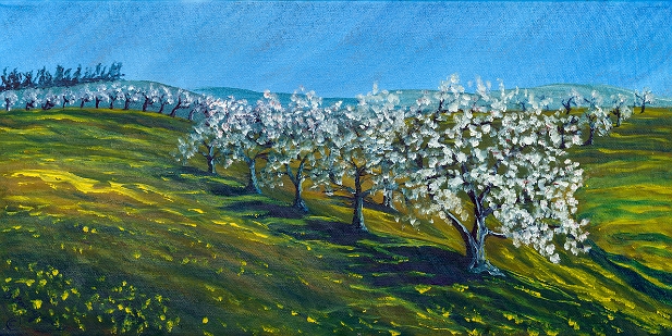 Chemin au printemps au Verger Belliveau