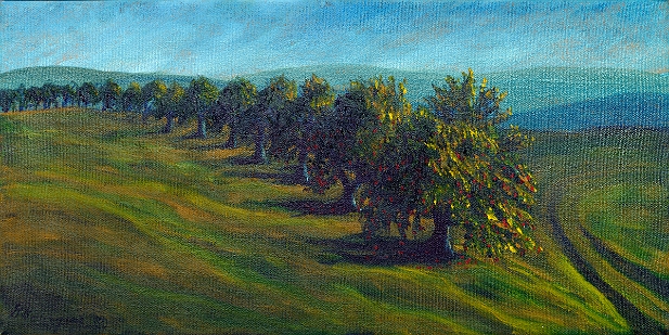 Petit chemin à l'automne au Verger Belliveau