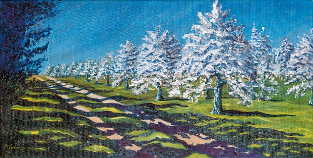 7-les-ombrages-du-printemps-au-verger-belliveau