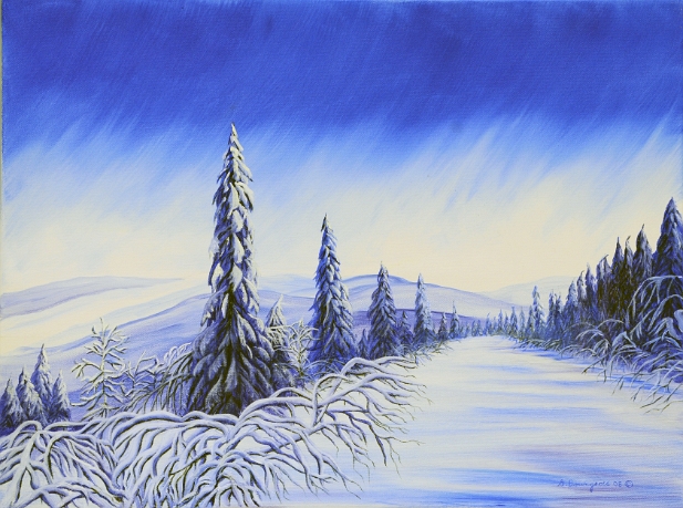 L'hiver au Vermont