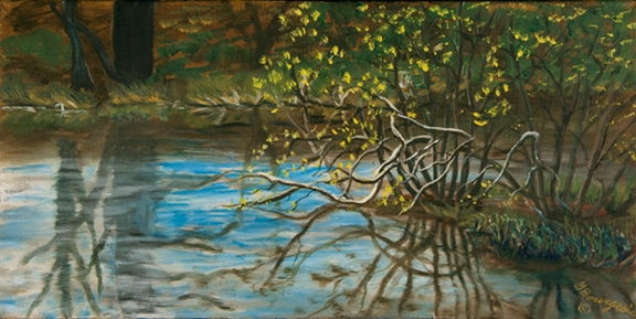 Fraîcheur de mai à Panacadie 8x16