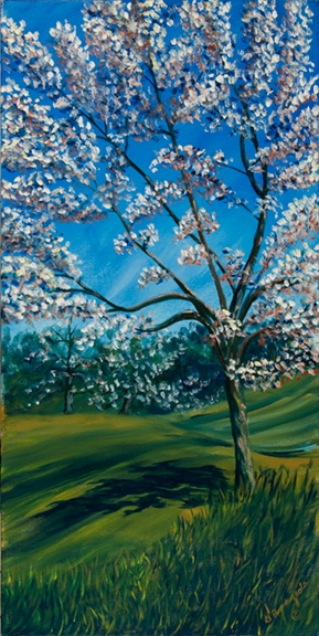 Mai au verger Belliveau  12x24 