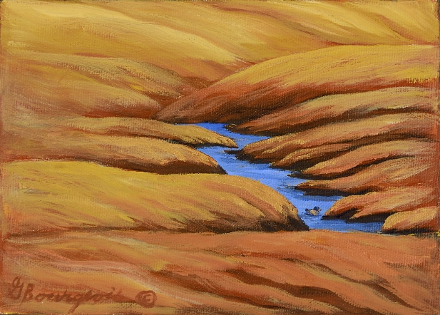 Canard à Panacadie 5x7 2012