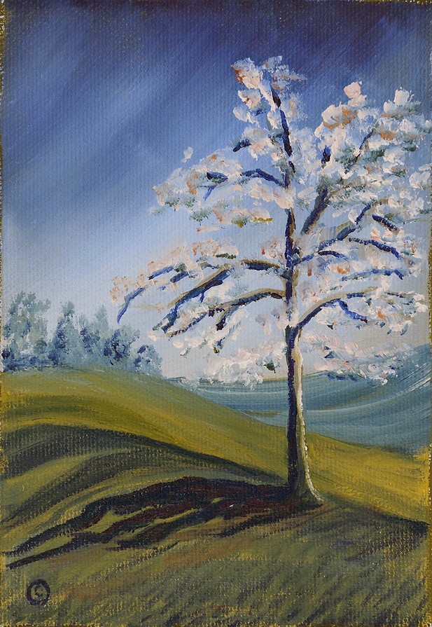 Pommier au Verger Belliveau 4x6 2012