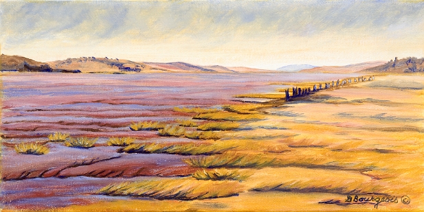 Brises-lames sur la Petitcodiac