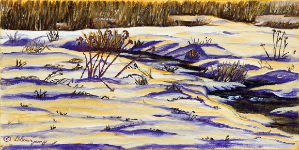 Marais de la Petitcodiac en hiver